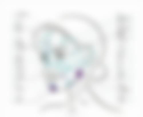隆鼻假体硅胶和膨体有什么区别？从材料、塑形到价格，多方面为你揭秘差异