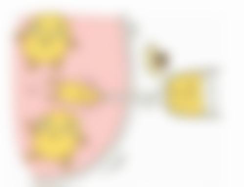大连润美熙医疗美容诊所医生简介