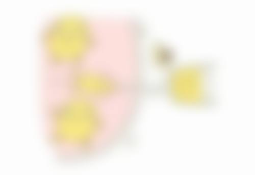 男士去眼袋的手术治疗方法
