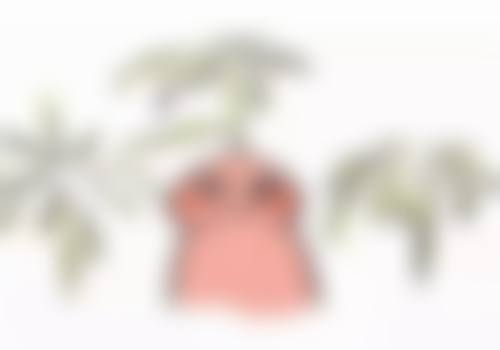 海口琼山欧阳春医疗美容诊所医院技术好不好?