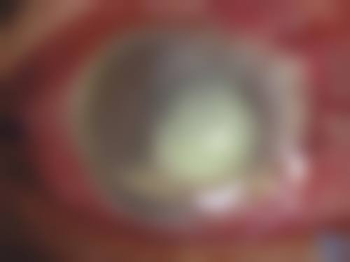 结尾预约号召