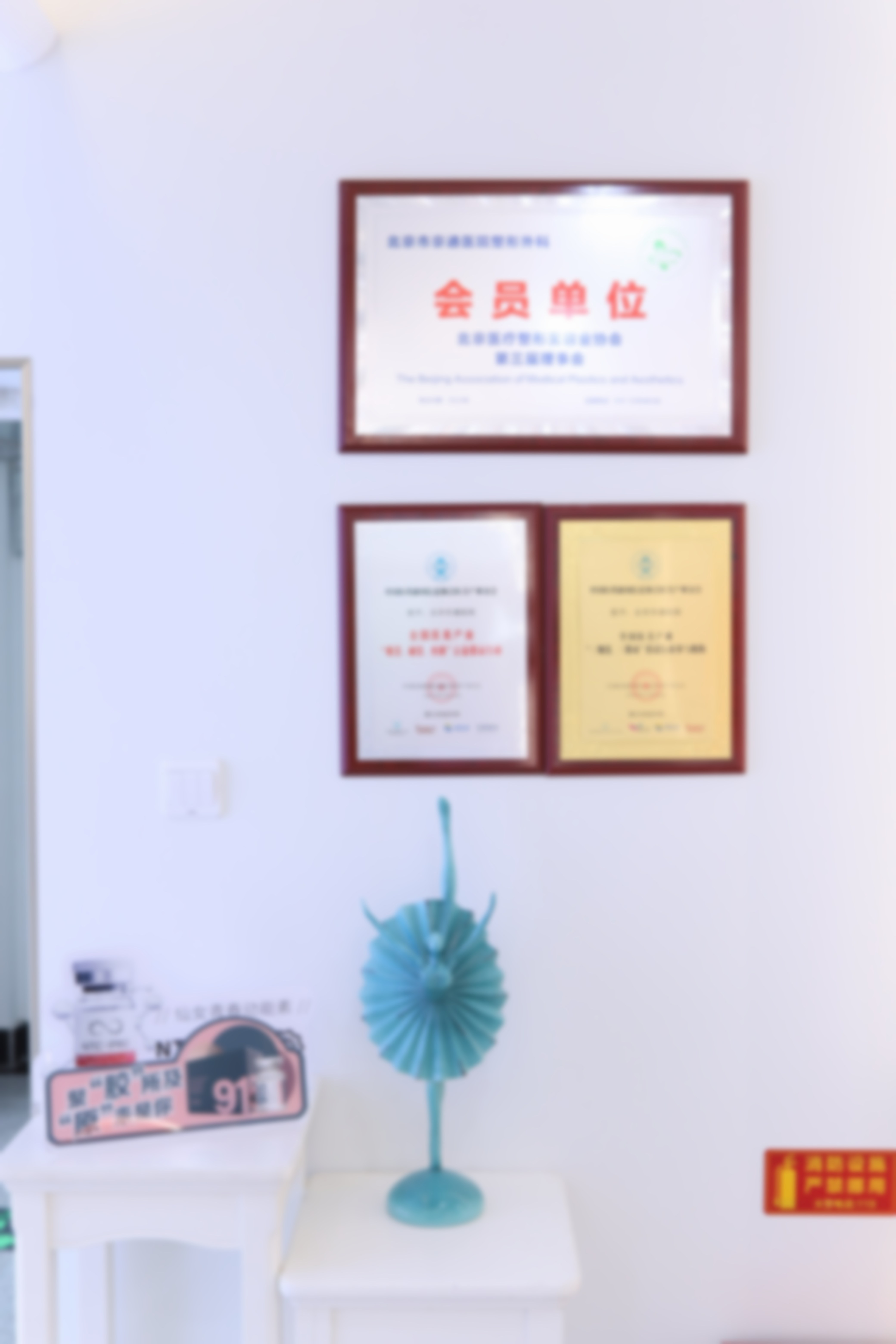 北京京通医院整形科薄滨从医荣誉