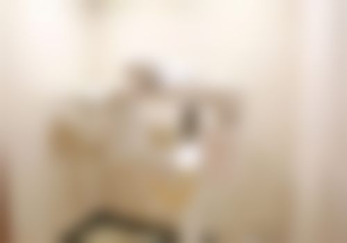 六、库尔勒优佳贝江南辰兴口腔门诊部怎么预约: