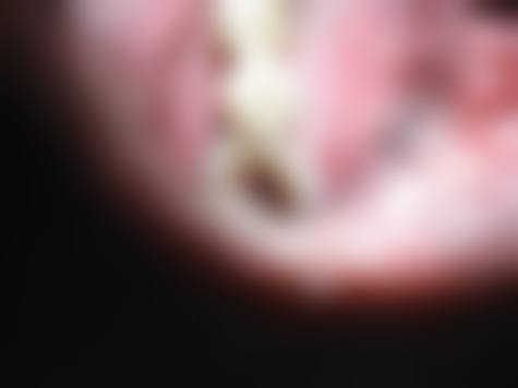 诊疗特色总结