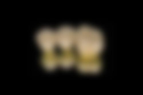 总结与预约号召