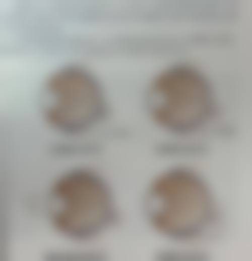 常见问题解答
