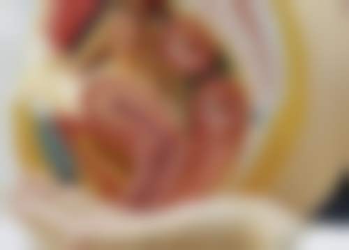 诊疗特色总结
