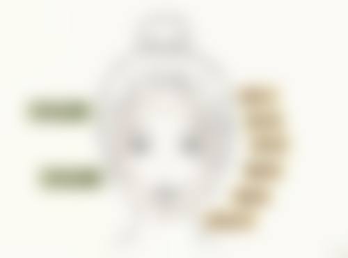 四、南京悦芙阁医疗美容诊所开展的项目以及特色项目