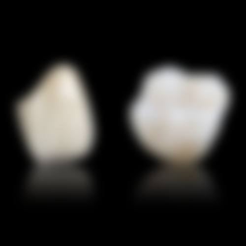 预约优惠活动