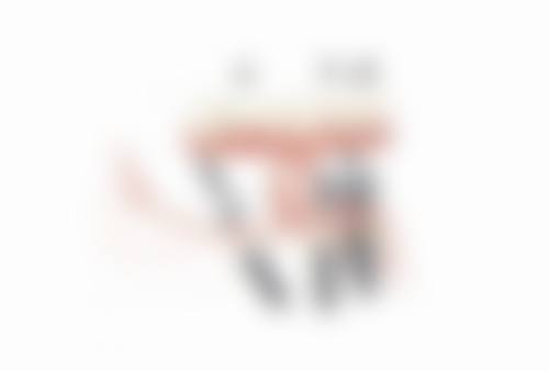 擅长项目详解