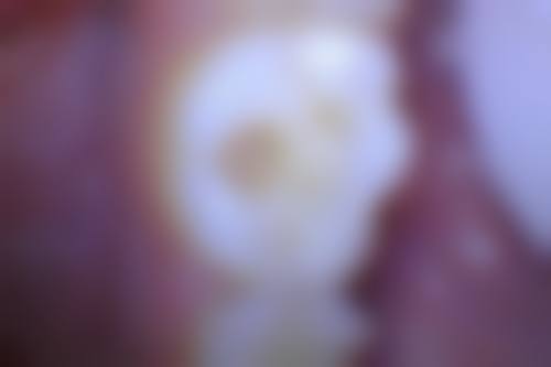 预约优惠活动