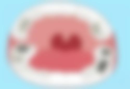 湖南省护齿之家口腔连锁的乘车路线与服务理念