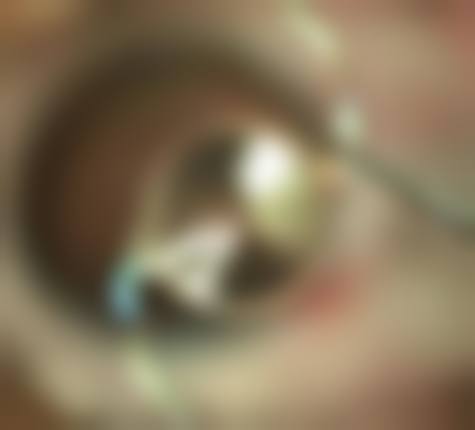 擅长项目详解
